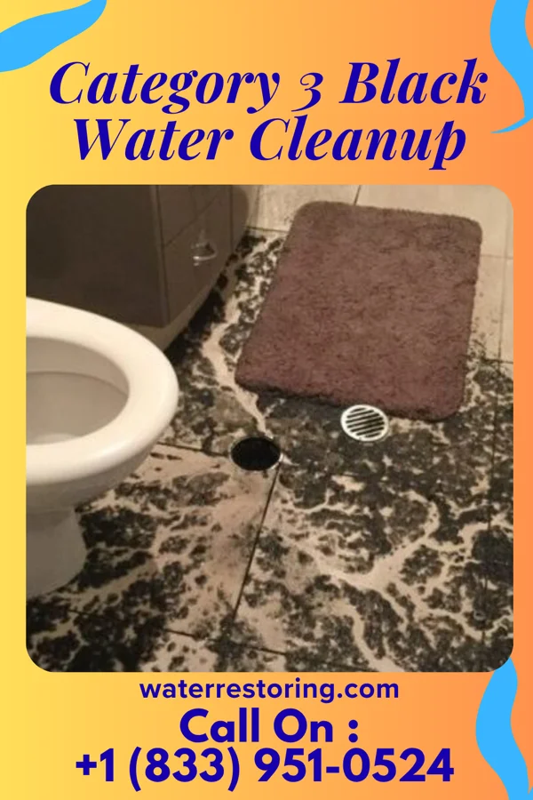 Category 3 Black Water Cleanup in Doña Ana, NM